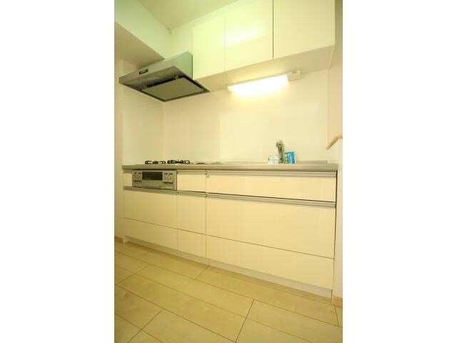  シーダーエース