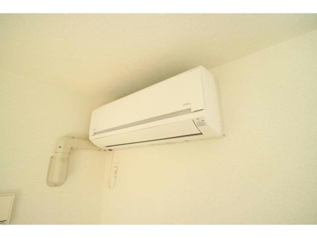  シーダーエース