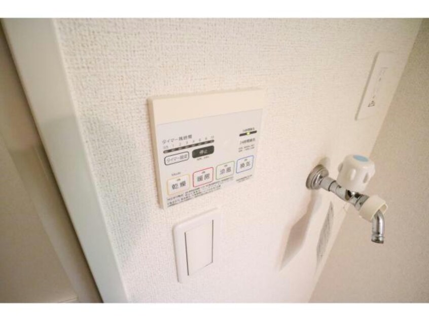  シーダーエース