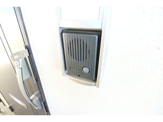  シーダーエース