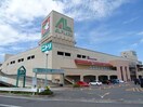 アル・プラザ水口(スーパー)まで423m Imperial house