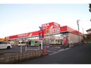 ツルハドラッグ菩提寺店(ドラッグストア)まで376m アルテール