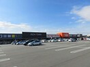 ザ・ビッグエクストラ湖南店(ディスカウントショップ)まで2595m サンコート三雲