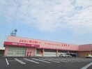 ディスカウントドラッグコスモス夏見店(ドラッグストア)まで2188m カーペンターハウスⅤ