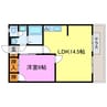 メゾン今村 1LDKの間取り