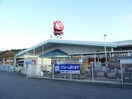 コメリハード＆グリーン信楽店(電気量販店/ホームセンター)まで140m コットンハウスⅤ