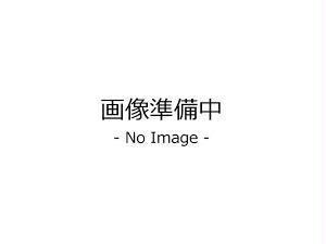 菩提寺西貸家(H邸)
