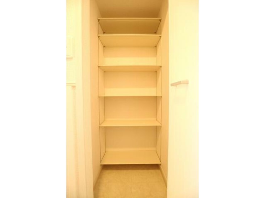 玄関収納(可動棚) NorthStar Condo