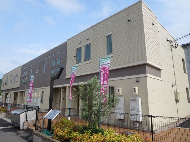  Cherry blossom Tokimune