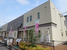  Cherry blossom Tokimune