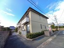 Ｐｌｕｍｅｒｉａ　（ﾌﾟﾙﾒﾘｱ）の外観