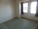  セレッソトキワ