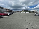  ウイングコートステラ