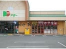 ゲオドミー小坂井店(ビデオ/DVD)まで2670m ウイングコートステラ