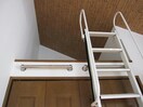  ラッフルズ