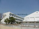 豊川市立小坂井東小学校(小学校)まで626m ディルーエ