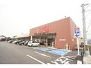 フィール豊川西店(スーパー)まで364m サキュレント樹