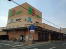 ドミー蔵子店(スーパー)まで1075m シャルマン雅Ａ・Ｂ