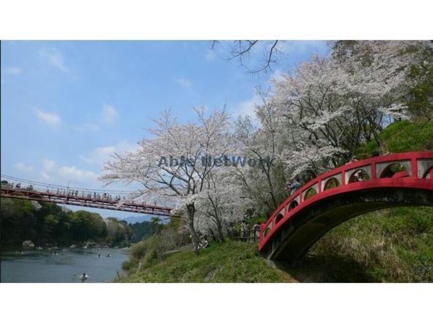 桜淵県立自然公園(公園)まで1126m グランデージソラル