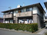 ハイカムールひまわり