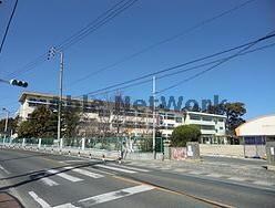 豊川市立三蔵子小学校(小学校)まで599m ハイカムールひまわり