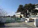 豊川市立代田小学校(小学校)まで759m ビューテラス佐野