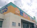 ファミリードラッグシーズ為当店(ドラッグストア)まで218m ラフォーレ森