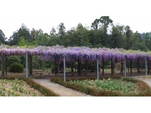 本野原第1公園(公園)まで1004m ブレジオ谷川