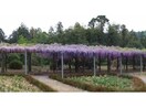 本野原第1公園(公園)まで1603m ネオパルＣＤ