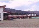 新城市立東郷西こども園(幼稚園/保育園)まで753m ＳＳコーポ　ライラ（D）