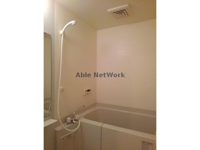  パエーゼ　カメリア