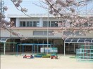 桜町保育園(幼稚園/保育園)まで501m プリムローズＢ