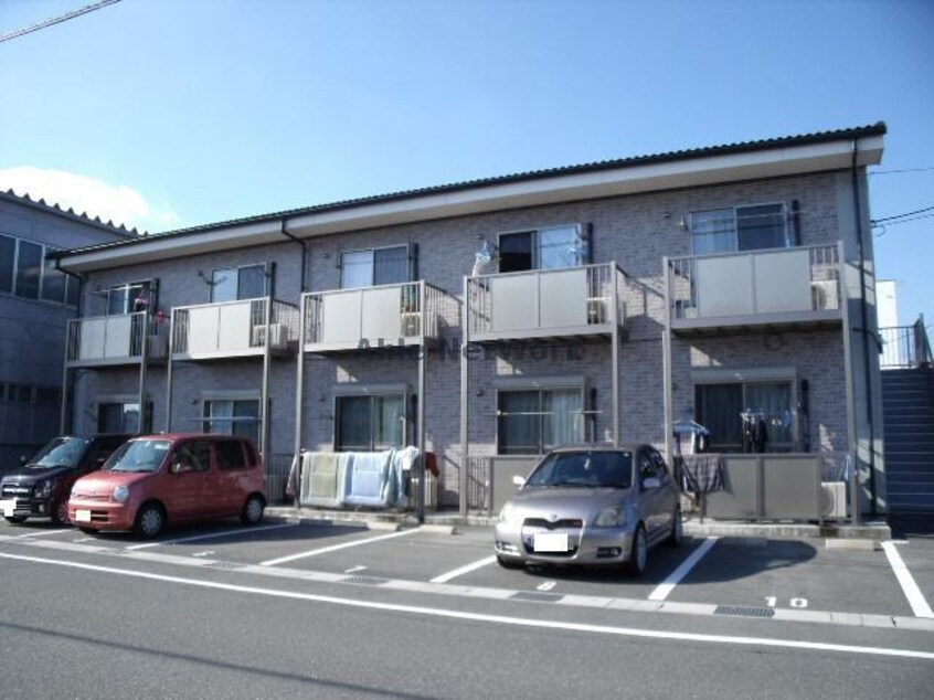  ＳＵＮＮＹ　ＣＯＳＭＯ