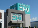 ニトリ豊川店(電気量販店/ホームセンター)まで1825m パークハイツ東宮