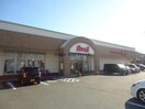 アベイル豊川店(ショッピングセンター/アウトレットモール)まで112m シャルマン雅　C