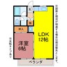 パイン・コーン 1LDKの間取り