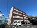 外壁塗装済みです！
