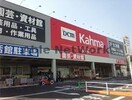 DCMカーマ新城店(電気量販店/ホームセンター)まで2615m マメケイジュ
