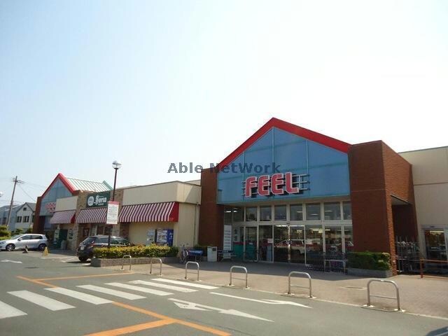 フィール豊川店(スーパー)まで588m Foresight