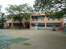 花井幼稚園(幼稚園/保育園)まで335m Foresight