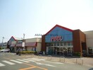 フィール豊川店(スーパー)まで446m ロジェ・リッシュ