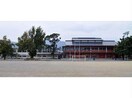 新城市立新城小学校(小学校)まで1244m ルミエール城北