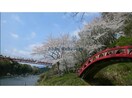 桜淵県立自然公園(公園)まで604m ハイカムール二本松