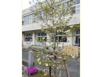 新城市立東郷東小学校(小学校)まで2067m グリーンハイツ緑ヶ丘