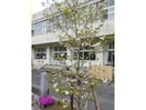 新城市立東郷東小学校(小学校)まで2067m グリーンハイツ緑ヶ丘