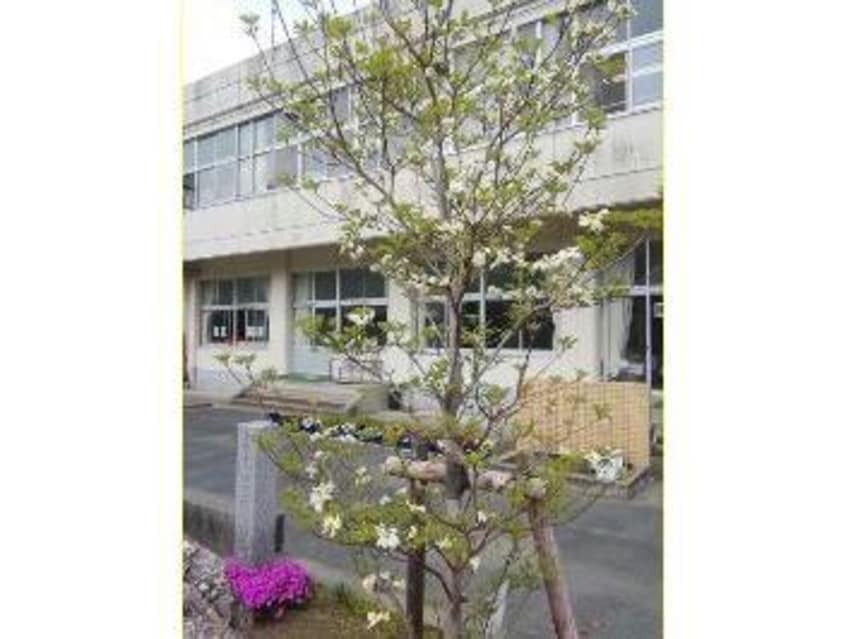 新城市立東郷東小学校(小学校)まで2067m グリーンハイツ緑ヶ丘