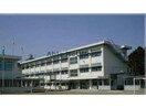 豊川市立桜町小学校(小学校)まで316m ハイツ蔵子
