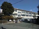 豊川市立豊川小学校(小学校)まで812m ファミール新宿