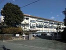 豊川市立豊川小学校(小学校)まで1359m ルミエール