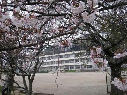 新城市立東郷中学校(中学校/中等教育学校)まで2550m ガレーラ柊